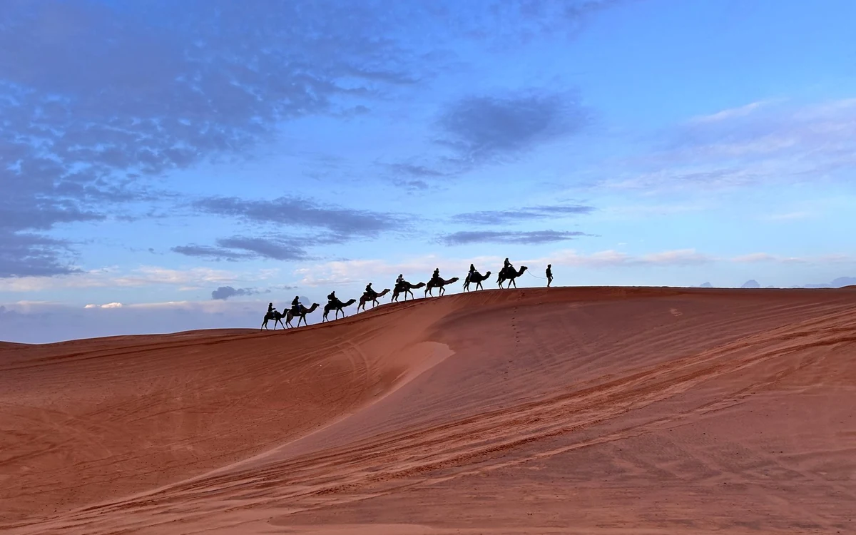 Palmeti lungo una valle fluviale visti dalla strada nel sud del Marocco