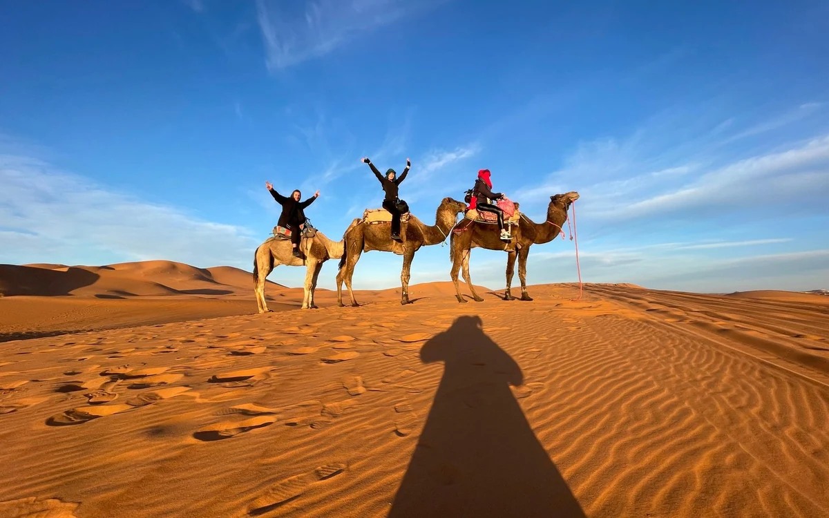 A line of camels walking in single file along the crest of a high orange dune