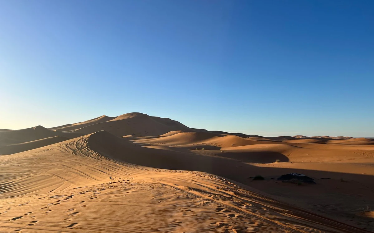 Empty dunes under a deep blue sky with a long shadowed ridge of sand