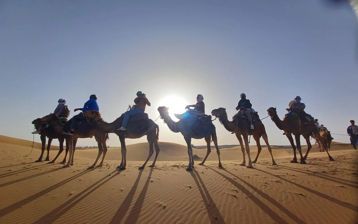 A camel caravan on the ridge of a high dune at Erg Chebbi near Merzouga