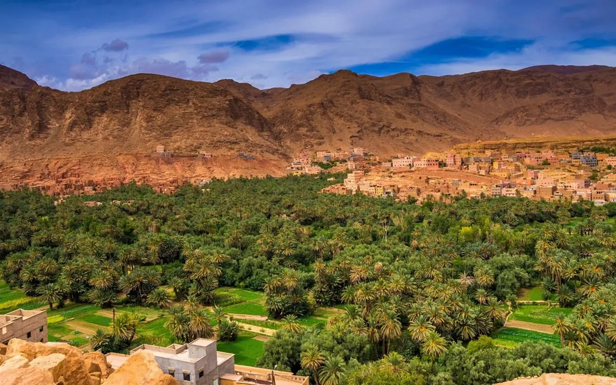 A wide valley floor filled with palm trees below bare rocky slopes