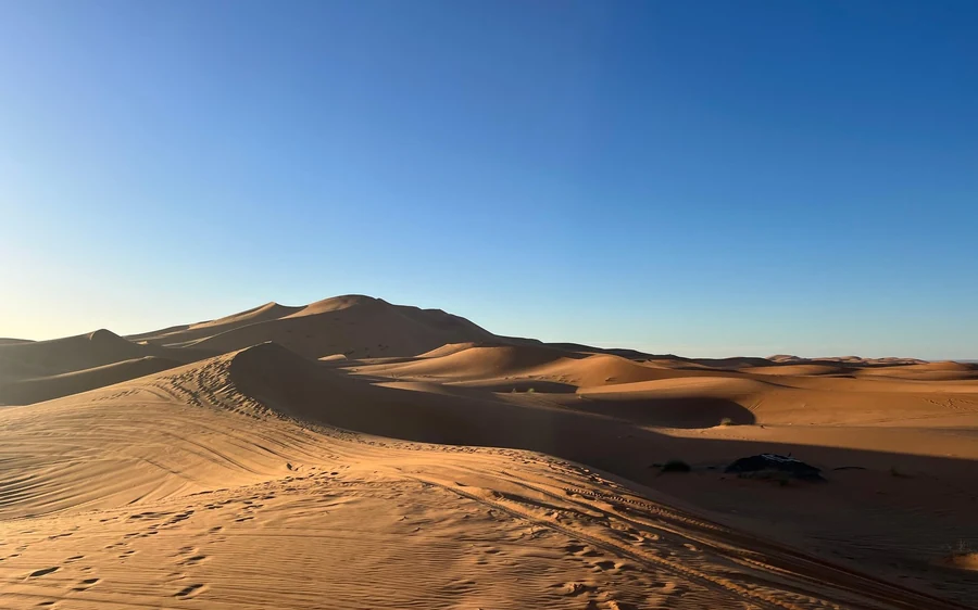 Ein langer Kamelzug, der am Nachmittag über offenen Sand zu den Dünen zieht