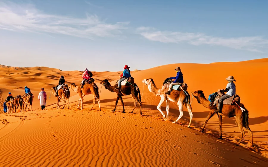 Eine Reihe von Kamelen, die über den Grat einer hohen Düne in der Sahara bei Merzouga ziehen
